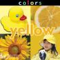 Colors - Preview