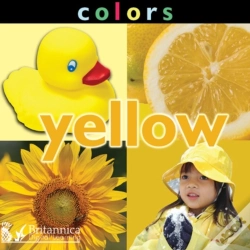 Capa do artigo Colors