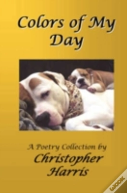 Capa do artigo Colors Of My Day