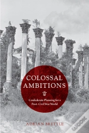 Capa do artigo Colossal Ambitions