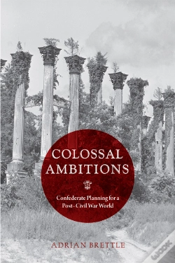 Capa do artigo Colossal Ambitions