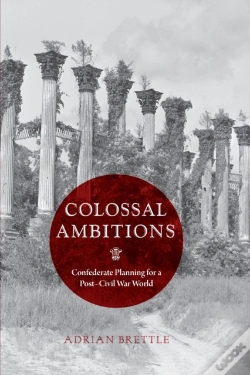 Capa do artigo Colossal Ambitions