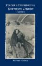 Colour And Experience In Nineteenth-Century Poetry - Preview
