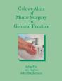 Colour Atlas Of Minor Surgery In General Practice - Preview