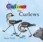 Colour For Curlews - Preview