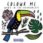 Colour Me: Whoâ€™S In The Rainforest? - Preview