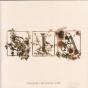 Colour The Small One - CD - Preview