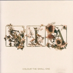 Capa do artigo Colour The Small One - CD