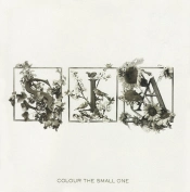 Capa do artigo Colour The Small One - CD