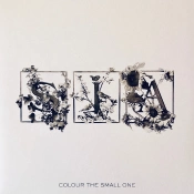 Capa do artigo Colour The Small One - Vinil