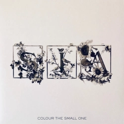 Capa do artigo Colour The Small One - Vinil