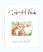 Colourful Wish - Preview