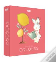Colours