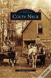 Capa do artigo Colts Neck