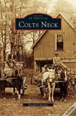 Capa do artigo Colts Neck