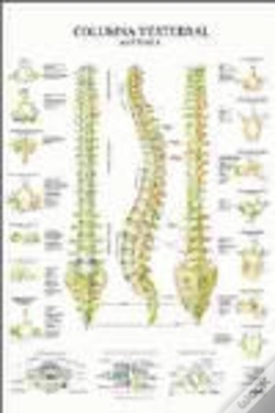 Capa do artigo Columna Vertebral Poster
