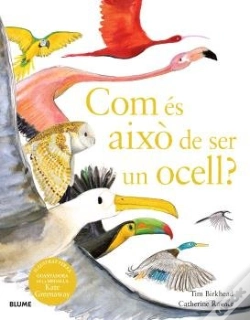 Capa do artigo Com Es Aixo De Ser Un Ocell
