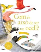 Capa do artigo Com Es Aixo De Ser Un Ocell