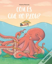 Capa do artigo Com Es Que No Plou?