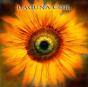 Comalies - Vinil - Preview
