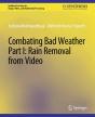 Combating Bad Weather Part I - Preview