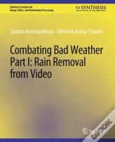 Combating Bad Weather Part I