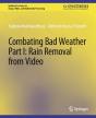 Combating Bad Weather Part I - Preview