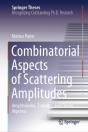 Combinatorial Aspects Of Scattering Amplitudes - Preview