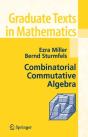 Combinatorial Commutative Algebra - Preview