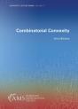 Combinatorial Convexity - Preview
