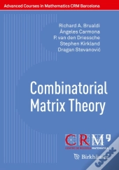 Combinatorial Matrix Theory