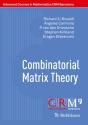 Combinatorial Matrix Theory - Preview