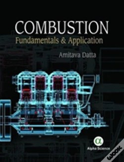 Capa do artigo Combustion