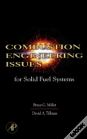 Capa do artigo Combustion Engineering Issues For Solid Fuel Systems