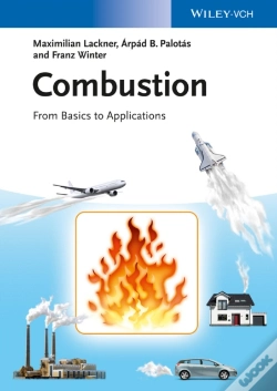 Capa do artigo Combustion - From Basics To Applications