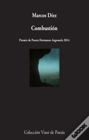 Capa do artigo Combustión