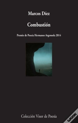 Capa do artigo Combustión