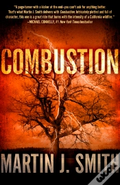 Capa do artigo Combustion