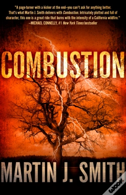Capa do artigo Combustion