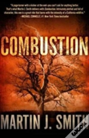 Capa do artigo Combustion