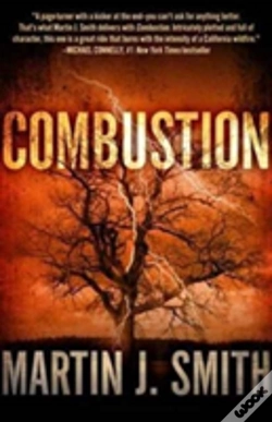 Capa do artigo Combustion