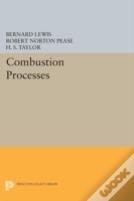 Combustion Processes