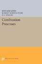 Combustion Processes - Preview