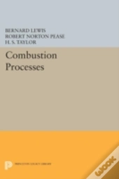 Combustion Processes