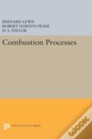 Combustion Processes