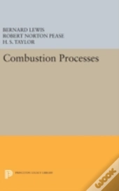 Combustion Processes