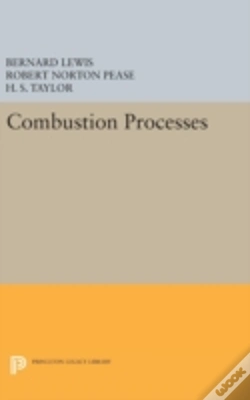 Capa do artigo Combustion Processes