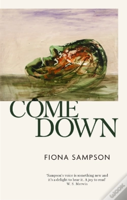 Capa do artigo Come Down