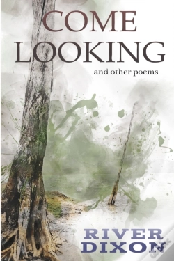 Capa do artigo Come Looking
