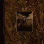 Come On Pilgrim... It's Surfer Rosa - CD - Preview